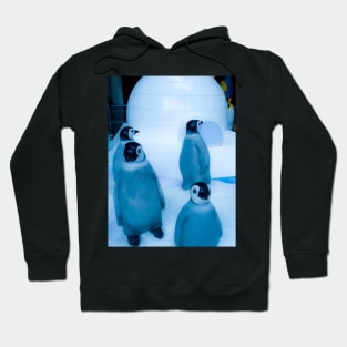 Igloo with a group of penguin sculptures Hoodie